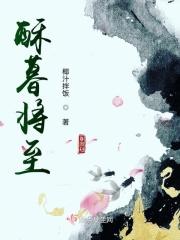 夜暮将至简介