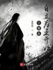 开始三国从继任太守