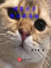 诸葛大力表白台词截图