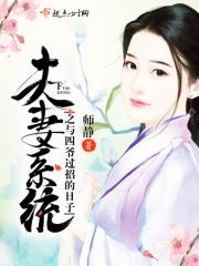 夫妻系统文