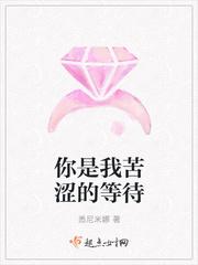 你是我最苦涩的等待的歌词