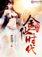 我的 金时代