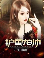 护国龙帅计无道阅读