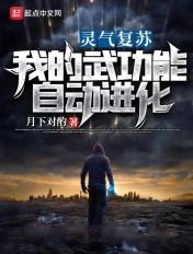 灵气复苏我的武功无限强化