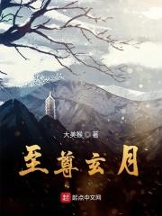 玄天至尊免费阅读