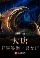 大唐开局签到娶丽质