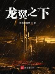 龙翼之歌是什么游戏主题曲