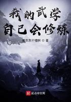 我的武学自己会修炼宁川