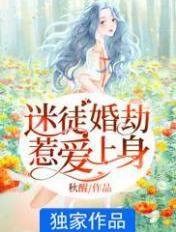 迷途的全集