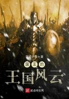 国王的王国风云40章