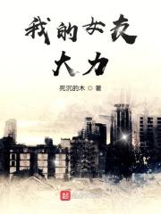 我的女友诸葛大力在线观看