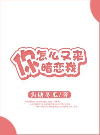 你怎么又来暗恋我by焦糖冬瓜txt