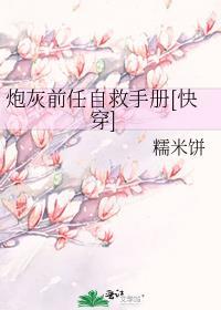 炮灰前任自救手册[快穿