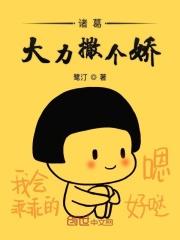 爱情公寓大力开车