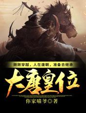 刚刚穿越人在唐朝准备去继承大唐皇位顶点