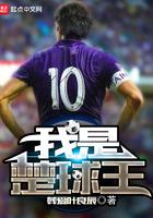 我是楚球王epub