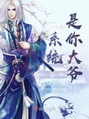 系统Y