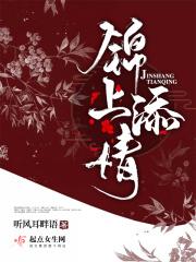 锦上添花在线阅读