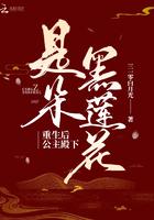 重生后公主殿下是朵黑莲花笔趣阁最新章节TXT