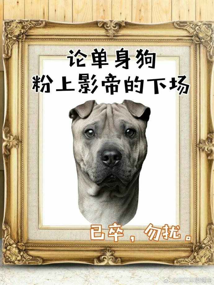 影帝酷爱撒糖可以去看看