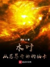 从木叶忍者开始