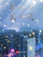 爱情公寓续写诺澜怀孕