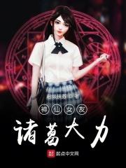 我的女友不止有诸葛大力