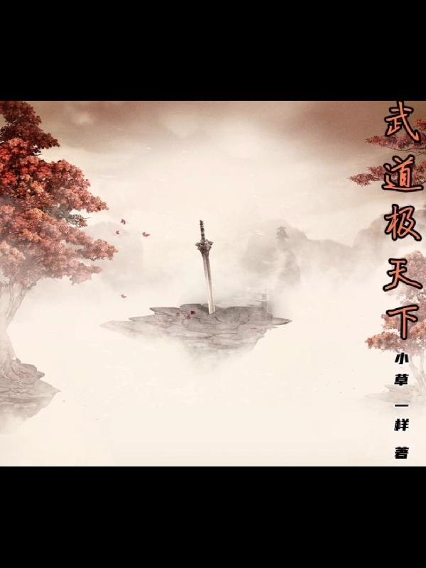 武道天下简介