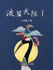 像划过彼此天际的流星