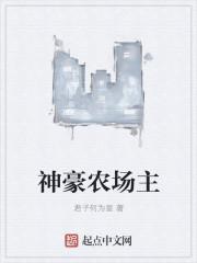 神豪 农村