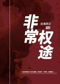 非常权途 第137章