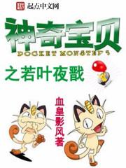 神奇宝贝主角叫夜神