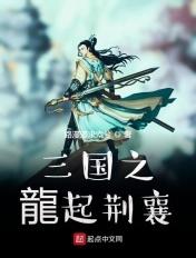 汉末之雄汉