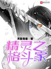 格斗类精灵