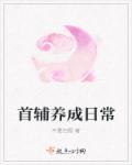 首辅养成日常 讲的啥
