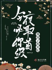今夜必有暴雪txt