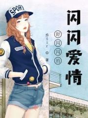 闪闪简介