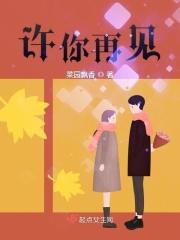 许你再见钟情讲的什么