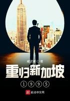 1985年新加坡电视剧