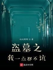 盗墓之我是bug