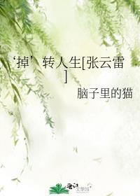 张云雷转扇子