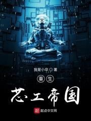 重生芯片制造商