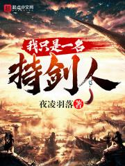 我只是一把剑