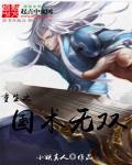 重生之国术为尊夙浪沙