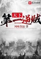 天下第一贼国语版在线播放电影