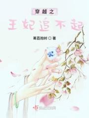 穿越之王妃不好当免费阅读