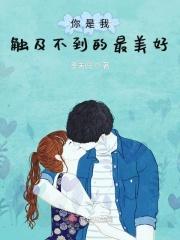 你是我触碰不到的风是什么歌
