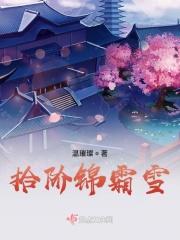 拾锦什么意思