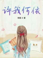 许我是什么意思