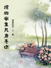 半生漂泊每一次都雨打归舟是什么意思